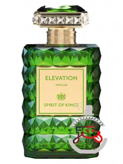 الِوِیشن اسپیریت آف کینگز | elevation spirit of kings